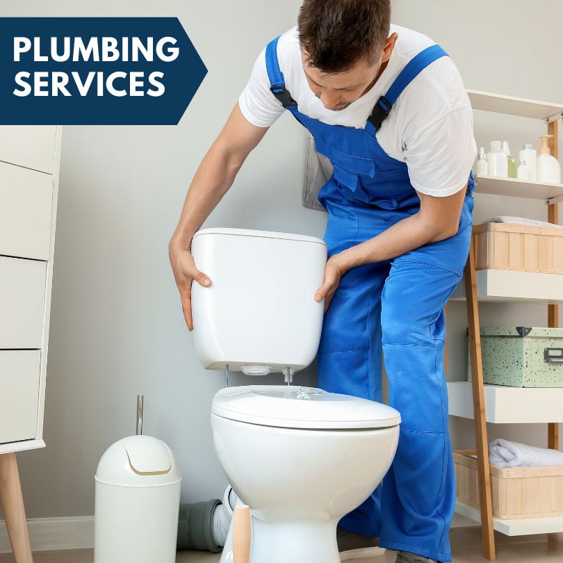 Plumbing Company in Royal Oak, MI